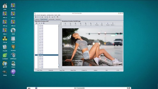 Pulsa para ver la imagen a tamaño completo