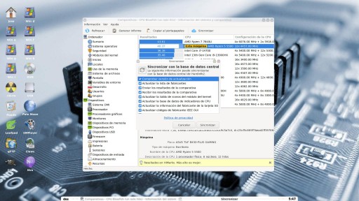 Pulsa para ver la imagen a tamaño completo