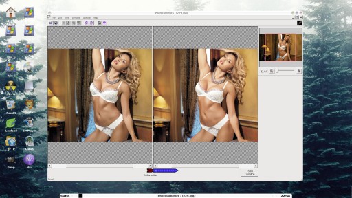 Pulsa para ver la imagen a tamaño completo