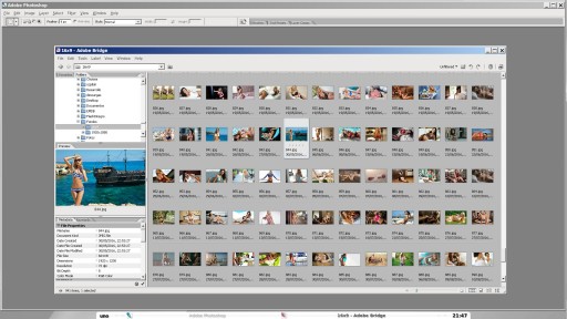 Pulsa para ver la imagen a tamaño completo