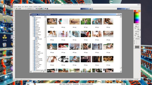 Pulsa para ver la imagen a tamaño completo